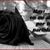 Teresa Mayoral's profile image