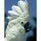Lona L.'s profile image