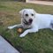 Marylou G.'s profile image