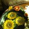 Donna M.'s profile image