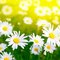 Wendi P.'s profile image