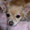 Vera H.'s profile image