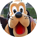 dragonstorme imdone's Profile Image