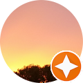 Donna Goulard's profile image
