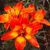 Gail Ingram's profile image