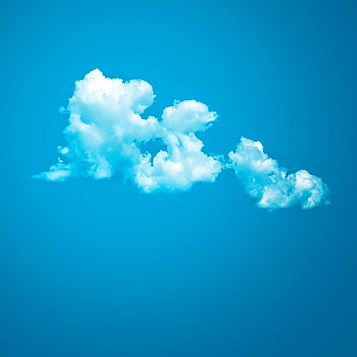 Florida Knight's profile image