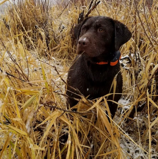 Eli L's profile image