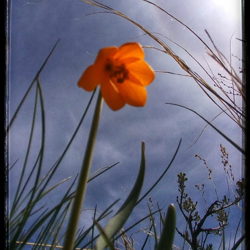 Lori's profile image