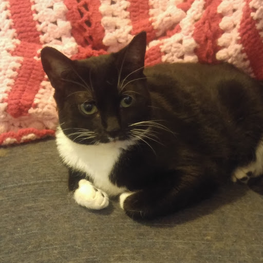 Allyn R's profile image