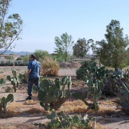 Kathleen Arbizu's profile image