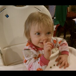 Wes Crook's profile image