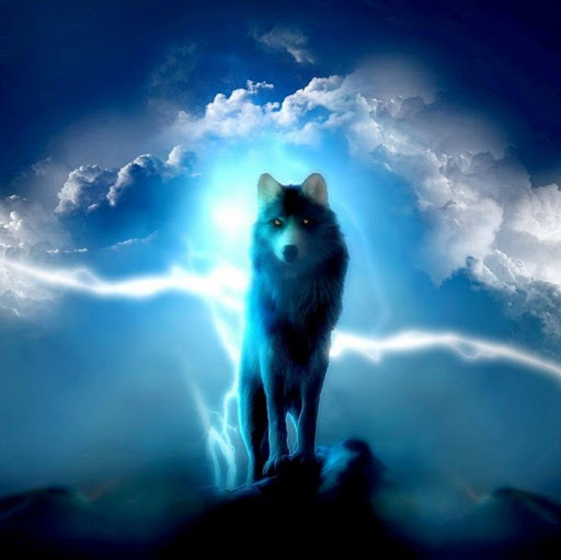 Storm Wolf's profile image