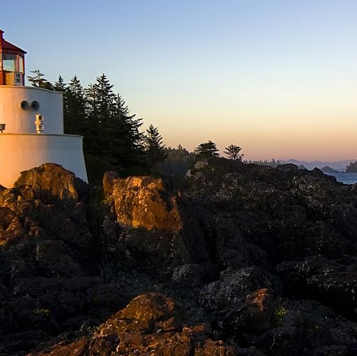 Dawn Bird's profile image