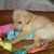 Caroline Butterfield's profile image