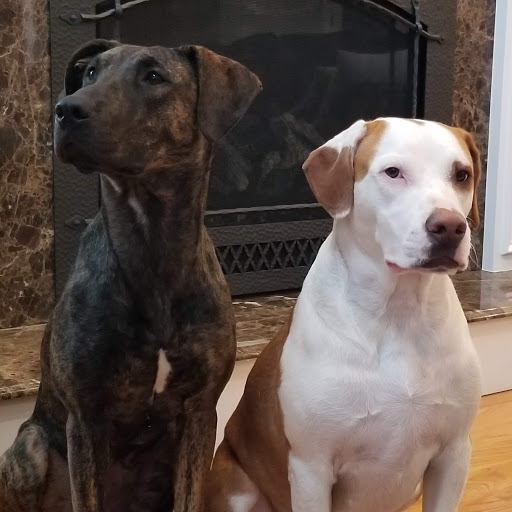 Suzy Costello's profile image