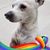Shelly Vanwinkle's profile image
