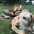 Angie Kirkpatrick's profile image