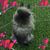 Norman Berube's profile image