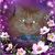 Janelle D. Butzer's profile image