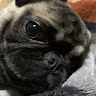 Amber's profile image