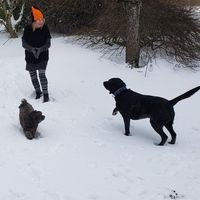 Sandy Sharp's profile image