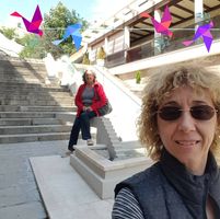 Tsvetana Kusheva's profile image