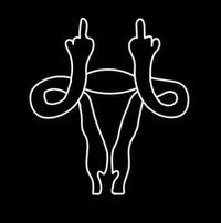 Katt Thelen Harrington's profile image