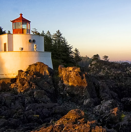 Iris's profile image