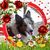 Lynnette Ray's profile image