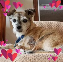 Bill-Ginger Hall's profile image