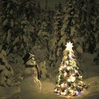 Al Mazuch's profile image