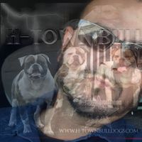 Ivan Olvera's profile image