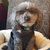 Darla Loflin's profile image