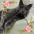 LinJoy Denis's profile image