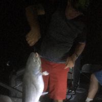 Eldon Gwin's profile image