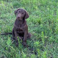 Angie Bidleman's profile image
