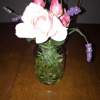 Teresa Lundman review for Lund Orthodontics