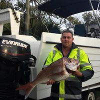 Adam Cashion's profile image