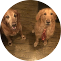 Peter DiGiacomo's Profile Image