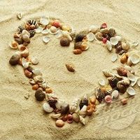 Sheryl Feenan's profile image