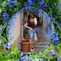 Denise Helene's profile image