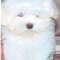 Tandra M.'s profile image