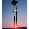Marilynn B.'s profile image