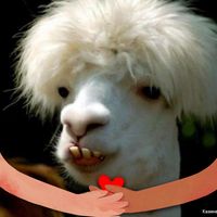 Brandon Nolen's profile image