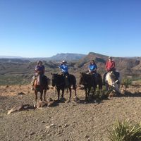 Mark Parham's profile image