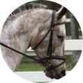 Stacy Blumberg's Profile Image