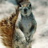Mert A.'s profile image