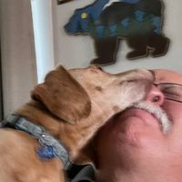 Andy Kmak's profile image