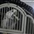Christy Porterfield Stastny's profile image