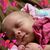 Cynthia Bonnell Stern's profile image
